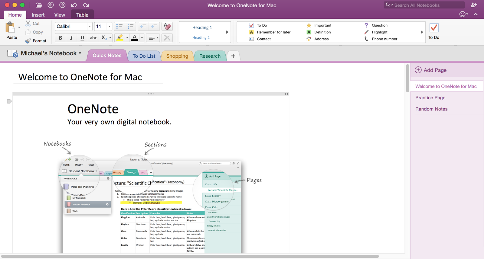 software like onenote for mac